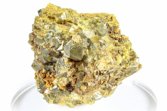 Olive Topazolite Garnet Cluster - Quartzite Mountain, Arizona #363743